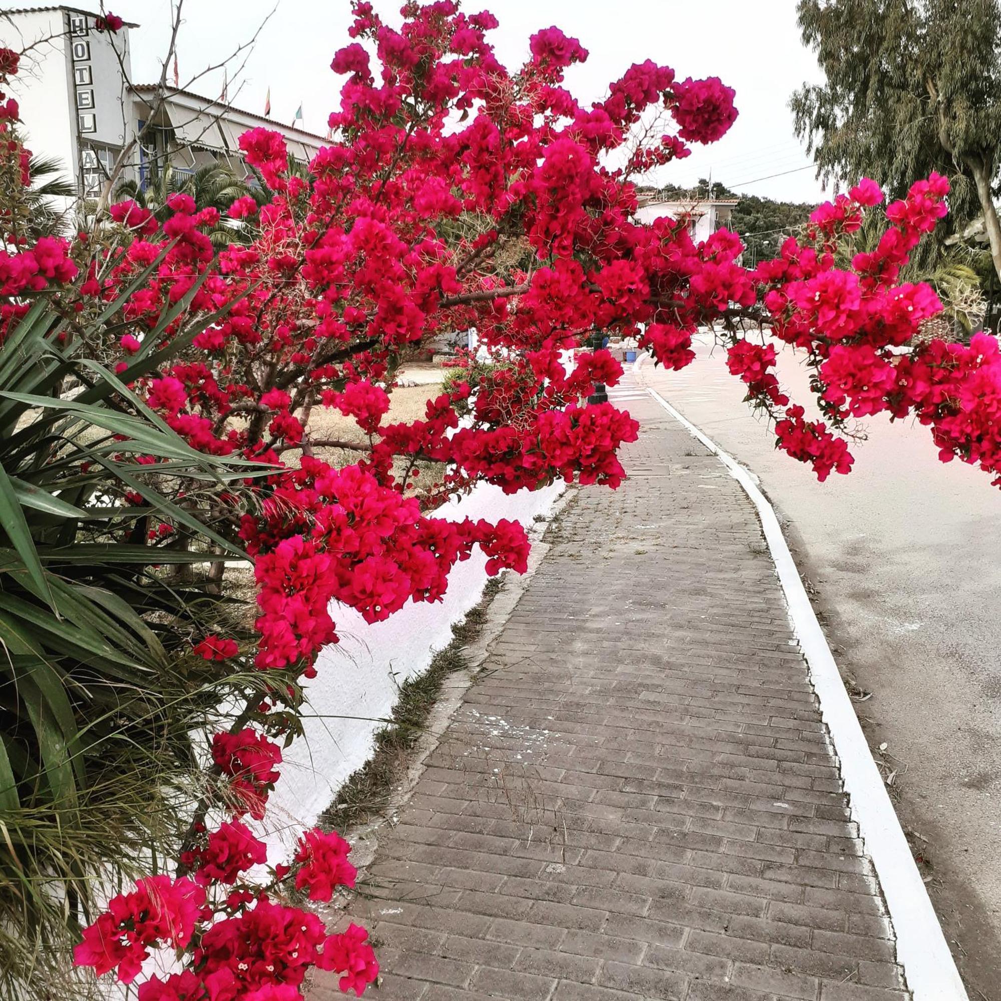 Hotel Avra Nea Epidavros Exterior photo